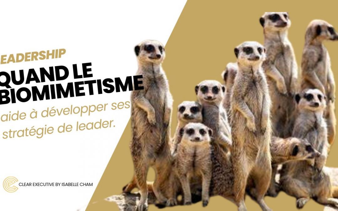 Biomimétisme appliqué au leadership