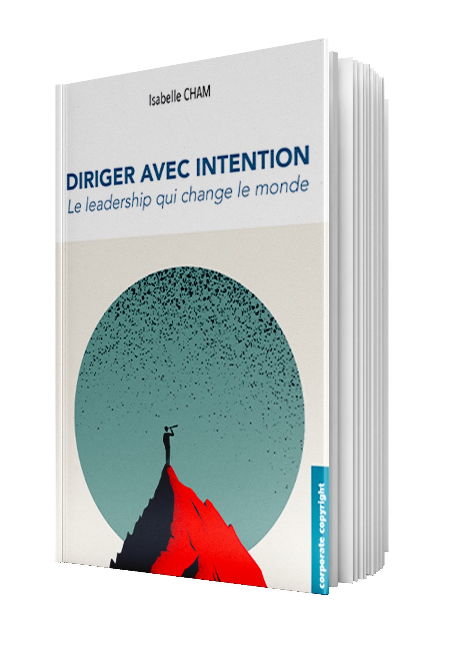 Paru aux éditions Corporate Copyrigth et JMB en janvier 2024 - Couverture 3D